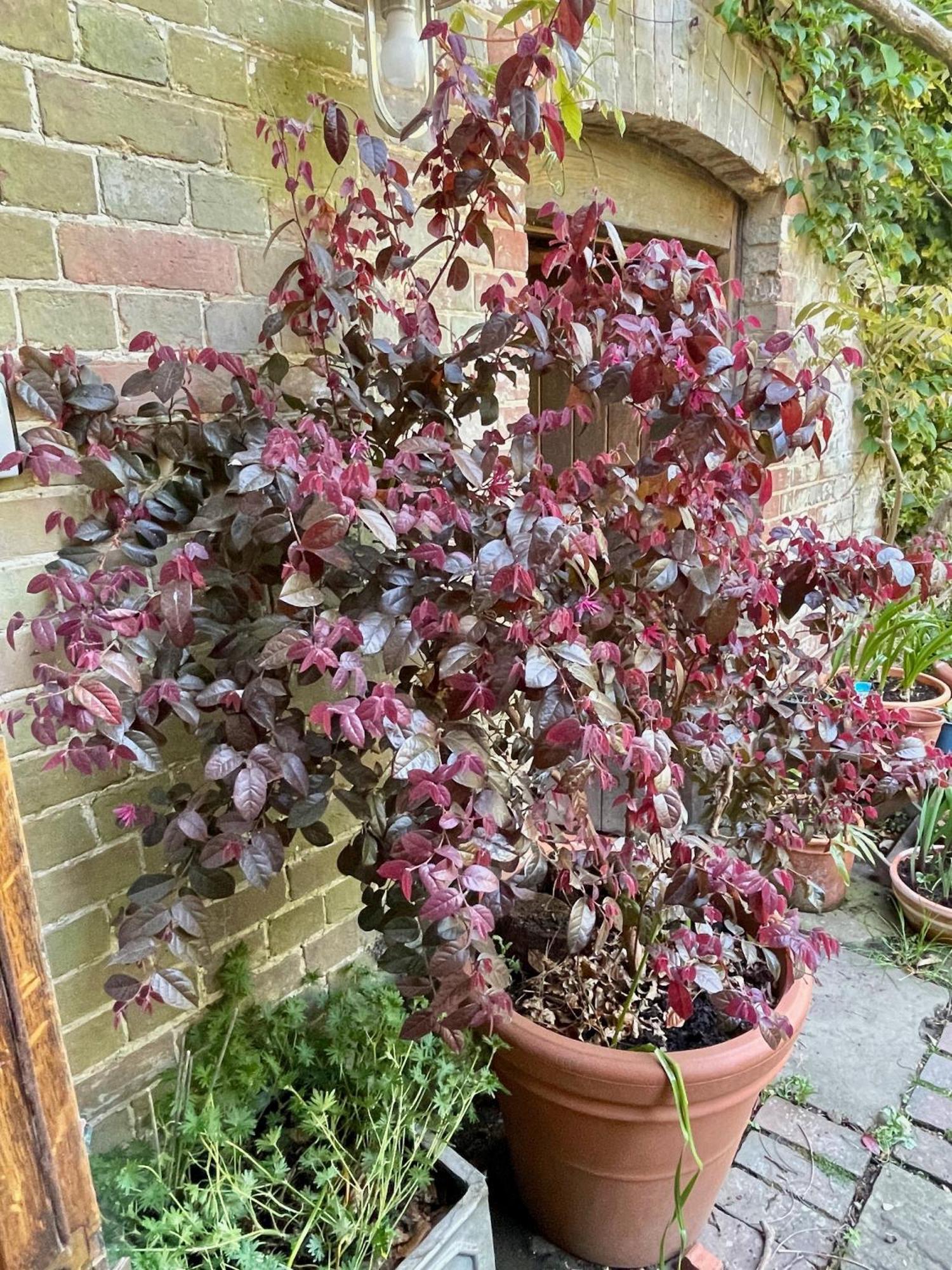 WadhurstThe Grannery公寓 外观 照片